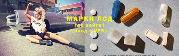 ПСИЛОЦИБИНОВЫЕ ГРИБЫ Баксан