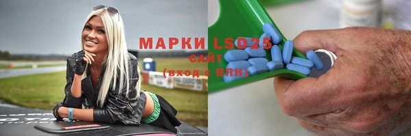 ПСИЛОЦИБИНОВЫЕ ГРИБЫ Баксан