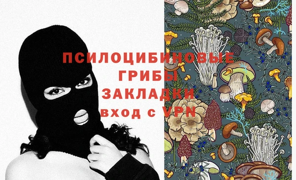 ПСИЛОЦИБИНОВЫЕ ГРИБЫ Баксан