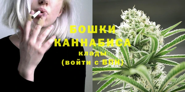 ПСИЛОЦИБИНОВЫЕ ГРИБЫ Баксан