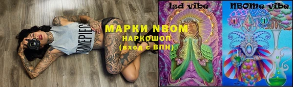 ПСИЛОЦИБИНОВЫЕ ГРИБЫ Баксан