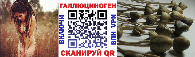 Галлюциногенные грибы MAGIC MUSHROOMS купить сайты Себеж