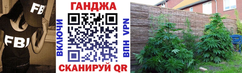 omg ссылки  Себеж  Бошки Шишки White Widow 
